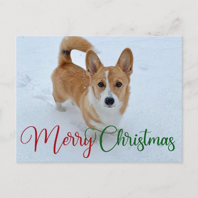 Cartão Postal Corgi Feliz de Natal com Cauda na Neve (Frente)