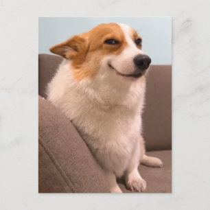 Cartão Postal Corgi Meme Sorridente