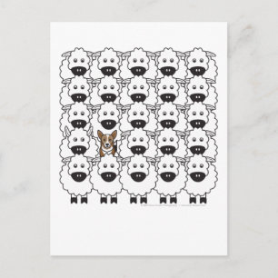 Cartão Postal Corgi na Ovelha