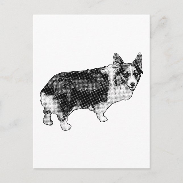 Cartão Postal Corgi Olá Twinkle-Step (Frente)