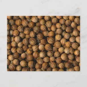 Cartão Postal Coriander