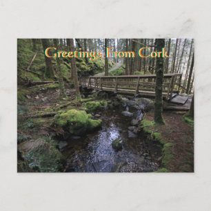 Cartão postal Cork Ireland