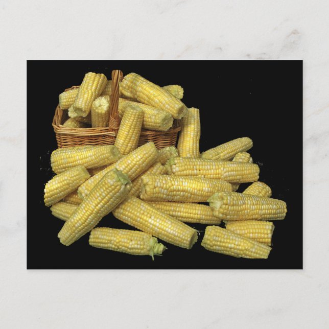 Cartão Postal Corn Harvest (Frente)