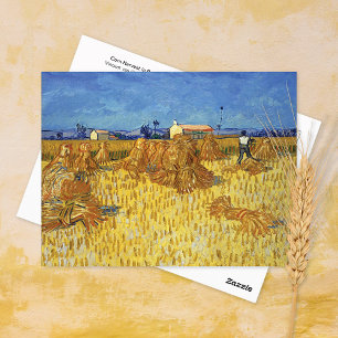 Cartão Postal Corn Harvest Provence Vincent van Gogh