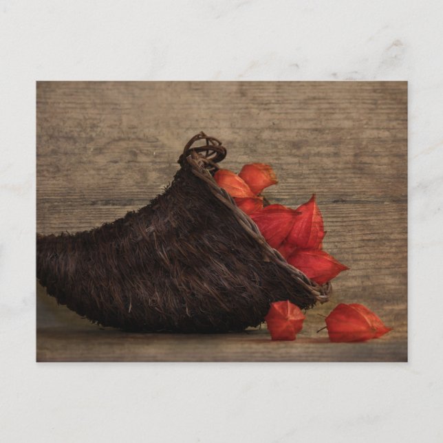 Cartão Postal Corno da Abundância (Frente)