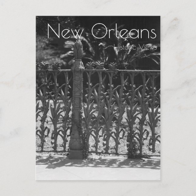 Cartão Postal Cornstalk Wdry Cerca De Ferro (Frente)