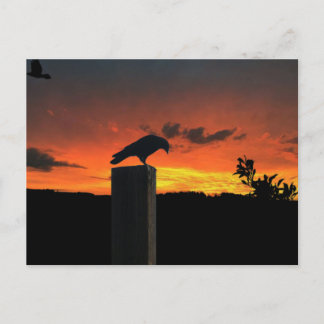 Cartão Postal Coroa no Sunset