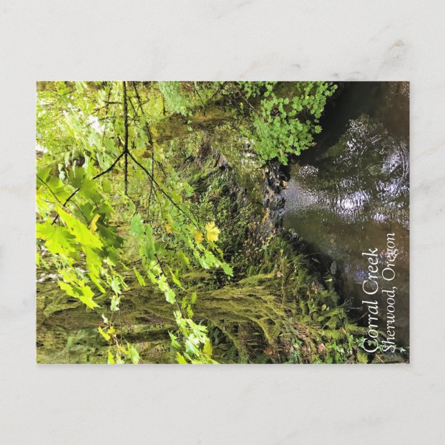 Cartão Postal Corral Creek (Frente)