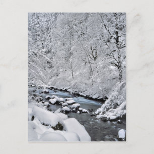 Cartão Postal Córrego branco nevado cênico, Oregon