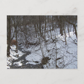 Cartão Postal Córrego nevado