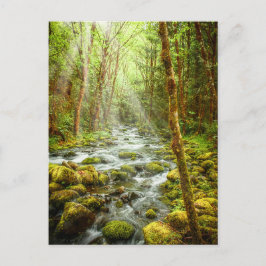 Cartão Postal Corrente de Floresta de Fantasia de Oregon