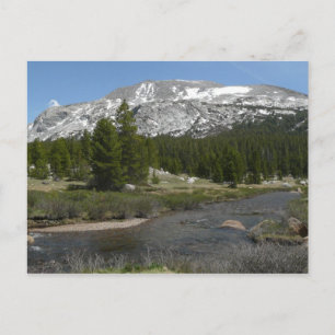Cartão Postal Corrente montanhosa de alto país II em Yosemite