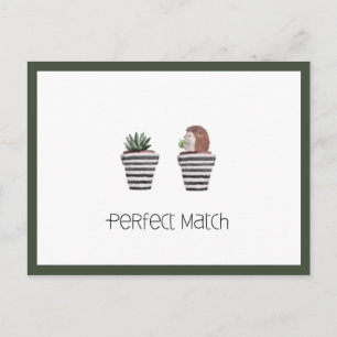 Cartão Postal Correspondência perfeita Bonita Hedgehog e Cactu