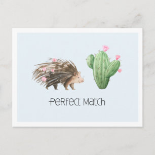 Cartão Postal Correspondência perfeita Cuz Porcupine e Cactus