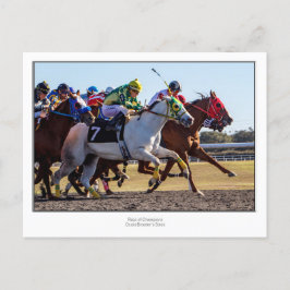 Cartão Postal Corrida de Cavalo