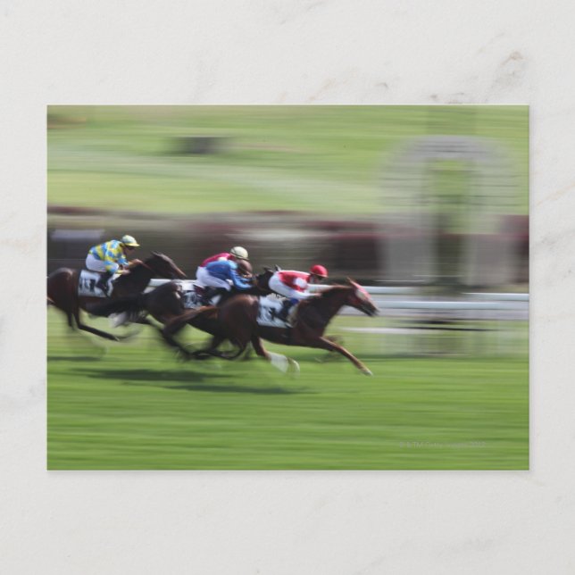 Cartão Postal corrida de cavalos (Frente)