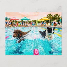 Cartão Postal Corrida de natação de cães