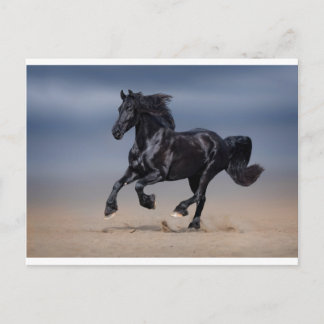 Cartão Postal Corrida de praia