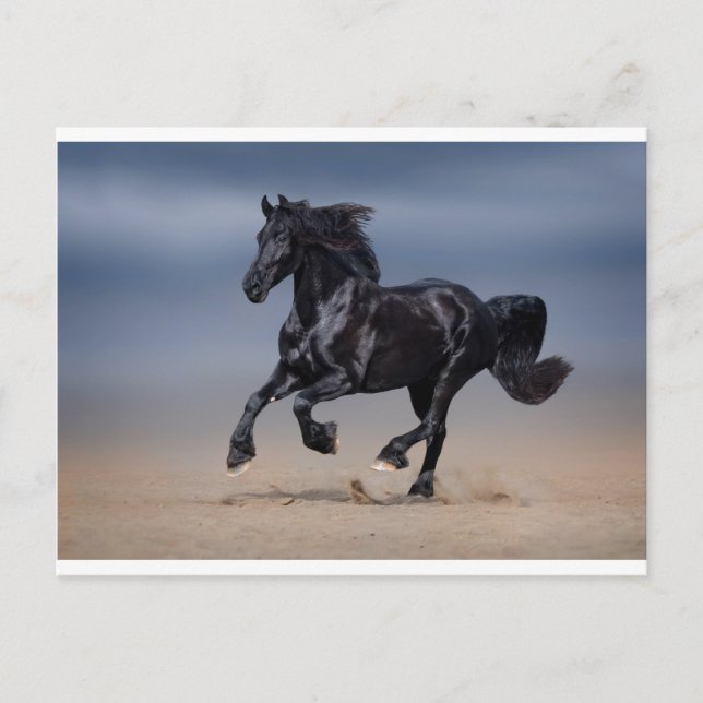 Cartão Postal Corrida de praia (Frente)