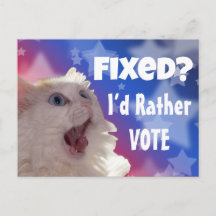 Corrigido? Eu prefiro votar