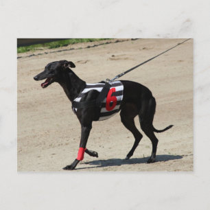 Cartão Postal corte