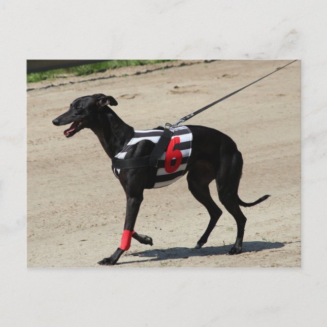 Cartão Postal corte (Frente)