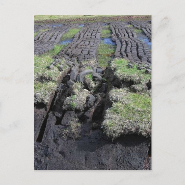 Cartão Postal Corte De Turfa Na Irlanda (Frente)