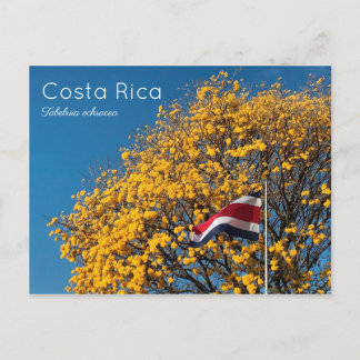 Cartão Postal Corteza amarilla Costa Rica