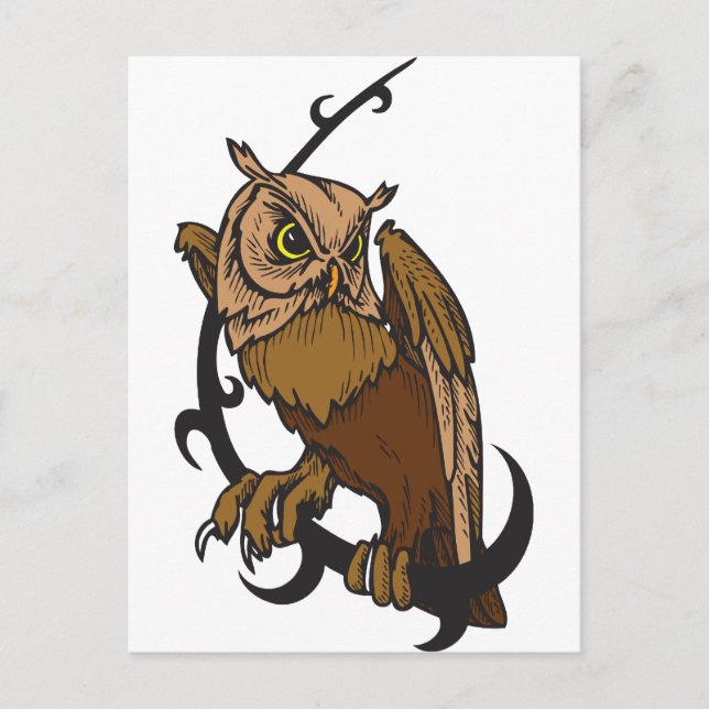 Cartão Postal Coruja (Frente)