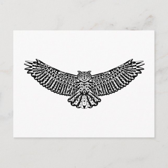 Cartão Postal Coruja (Frente)