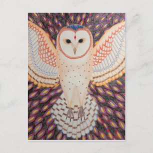 Cartão postal coruja