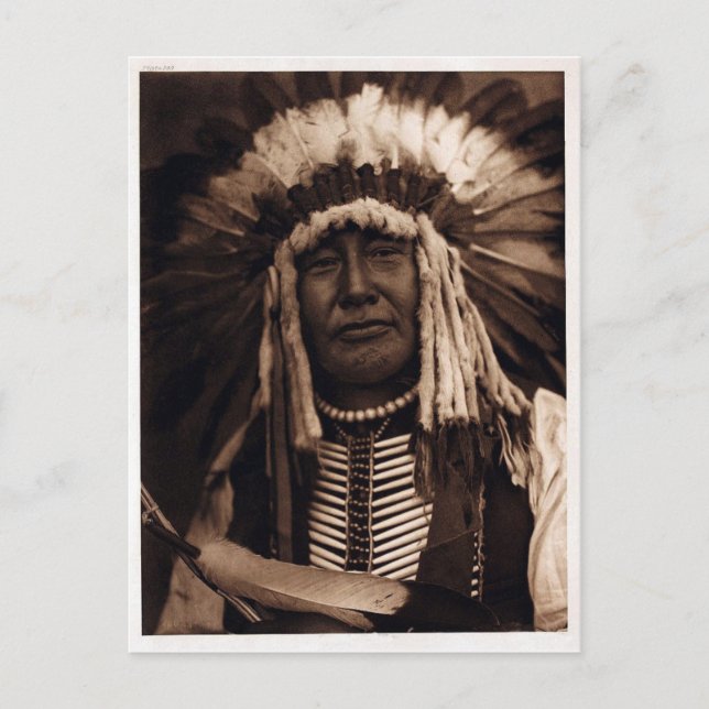 Cartão Postal Coruja Amarela (Frente)