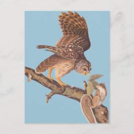 Cartão Postal Coruja Barred e Amigos do Esquilo Feliz de Audubon