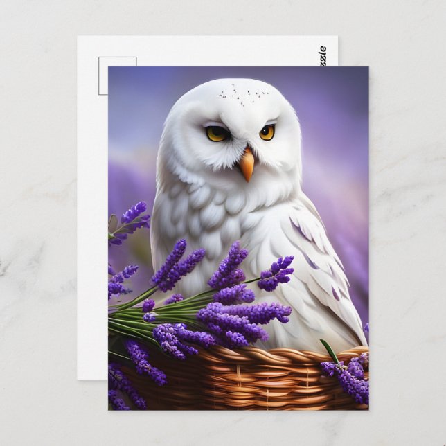 Cartão Postal Coruja Branca na Lavanda, Posto (Frente/Verso)
