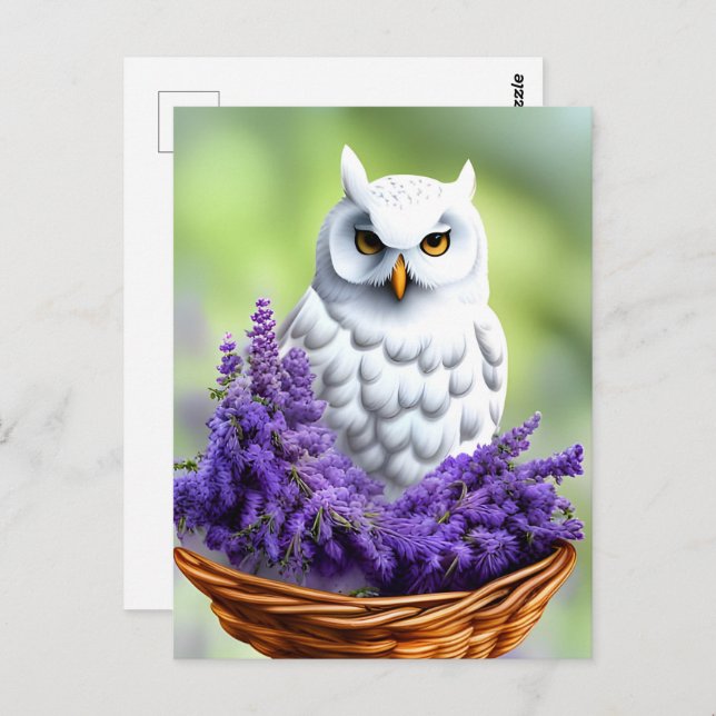 Cartão Postal Coruja Branca na Lavanda, Posto (Frente/Verso)
