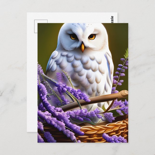 Cartão Postal Coruja Branca na Lavanda, Posto (Frente/Verso)