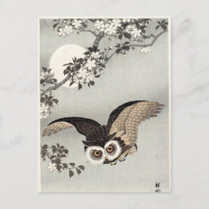 Cartão Postal Coruja, Cherry Blossoms e Lua de Ohara Koson
