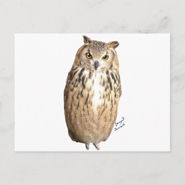 Cartão Postal Coruja-de-águia-roxa (Frente)
