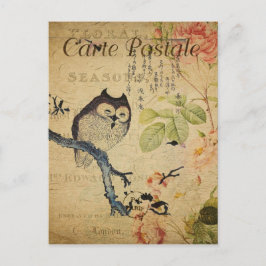 Cartão Postal Coruja de Estilo Vintage na Carte Francesa Postale