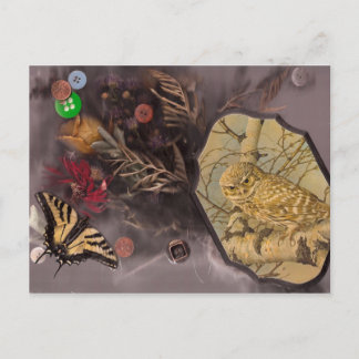 Cartão Postal coruja e borboleta