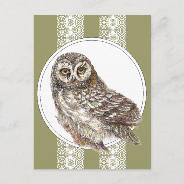 Cartão Postal Coruja-Foca-Cria - Aves Aquáticas, Vida Selvagem,  (Frente)