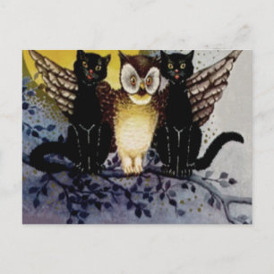 Cartão Postal Coruja Gato Preto Árvore Lua Cheia Noite