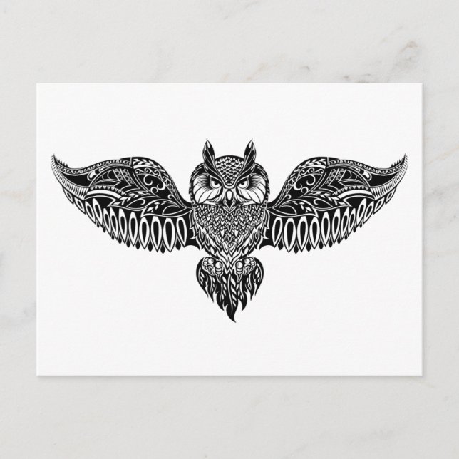 Cartão Postal Coruja Inspirada (Frente)