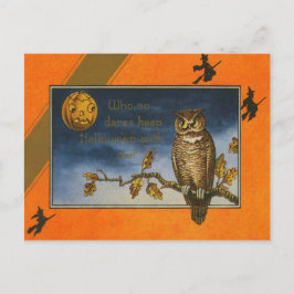 Cartão Postal Coruja Jack O Lanterna Abóbora