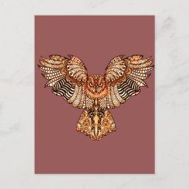 Cartão Postal Coruja no voo 2