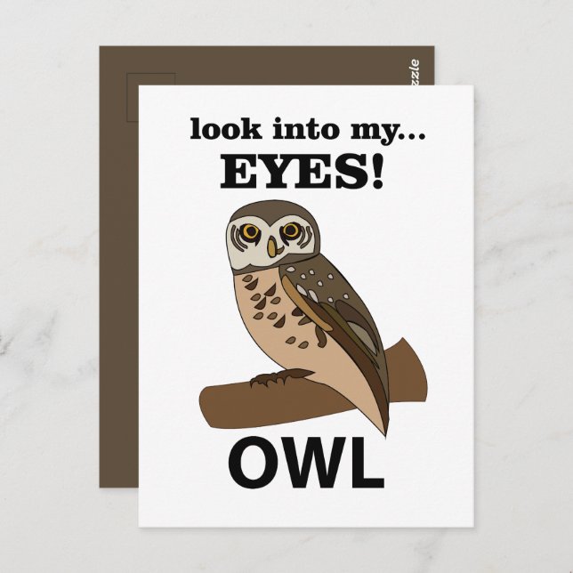 Cartão Postal Coruja Olhe Em Minha Coruja De Olhos (Frente/Verso)