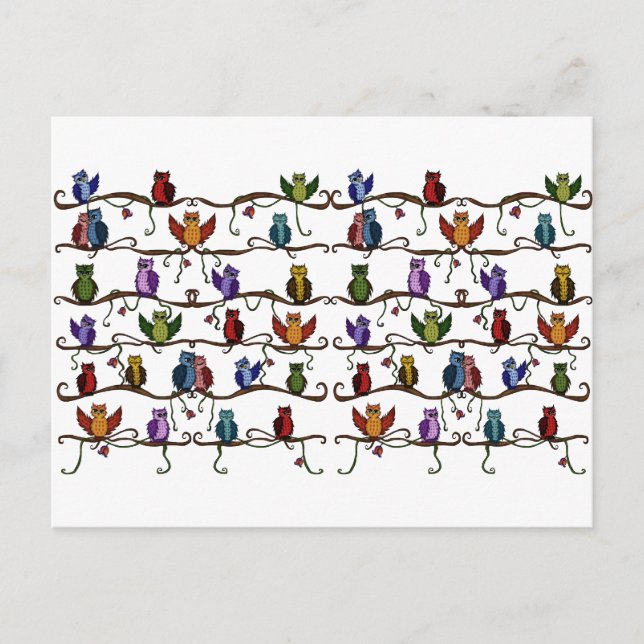 Cartão Postal corujas bonitas (Frente)