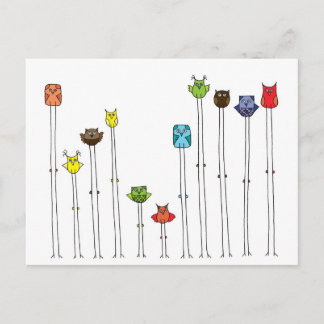 Cartão Postal Corujas Em Multicores
