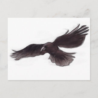 Cartão Postal Corvo