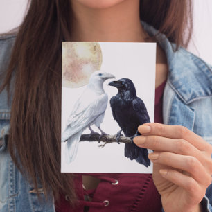 Cartão Postal Corvo Branco e Preto